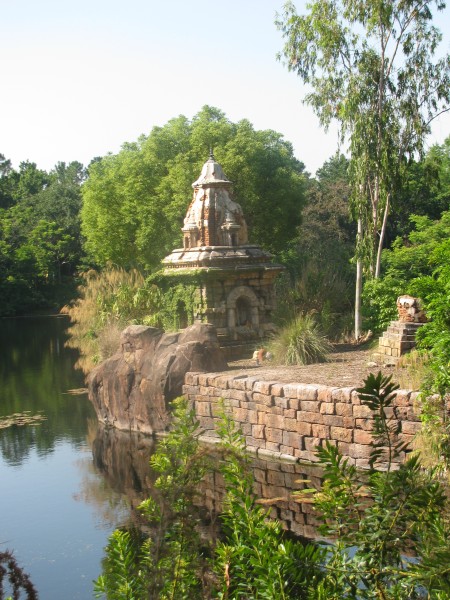 Animal Kingdom 008.jpg